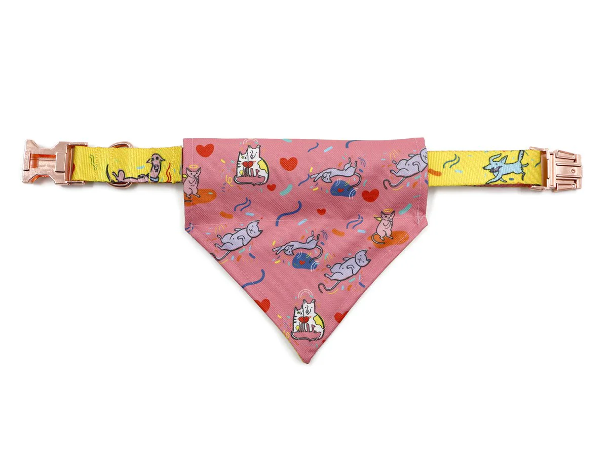 Bandanas pour chiens